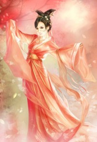 《赖皮王妃之将军请小心》