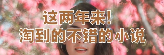 这两年来！淘到的不错的小说